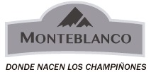 Monte blanco